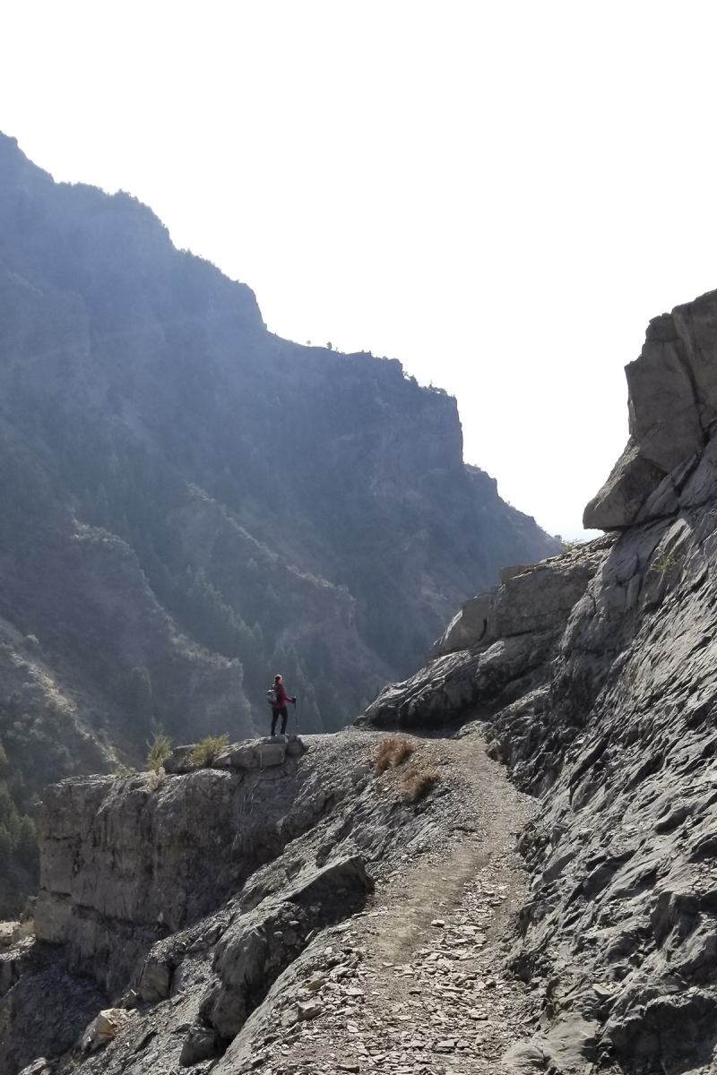 20181118_123811 grove creek 4x6