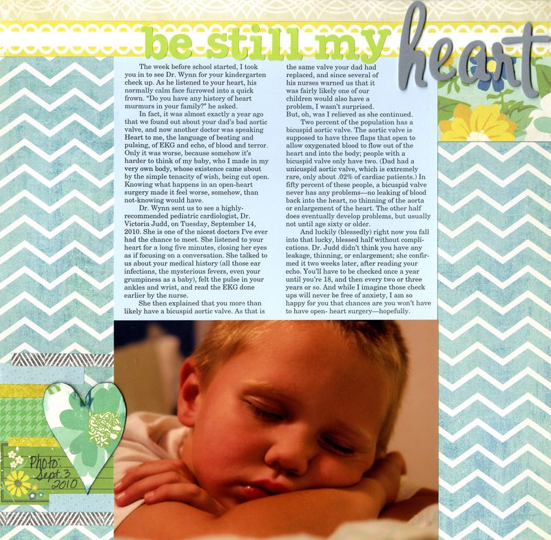 2010 09 03 Kaleb be still my heart bicuspid valve